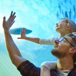 experiências no Motor Niara