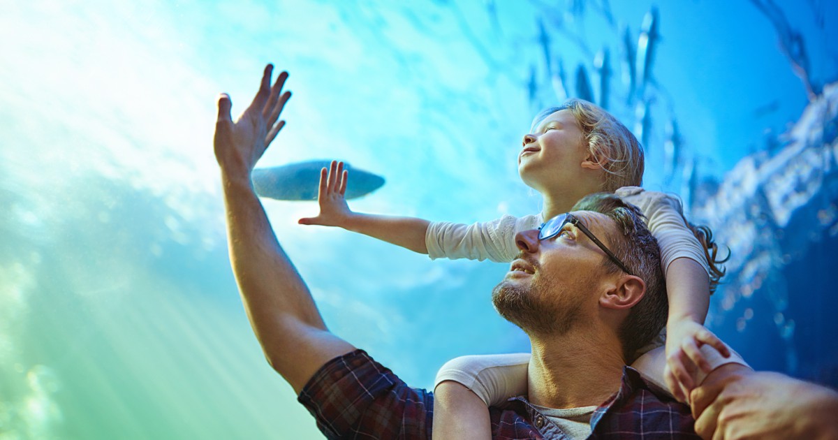 experiências no Motor Niara